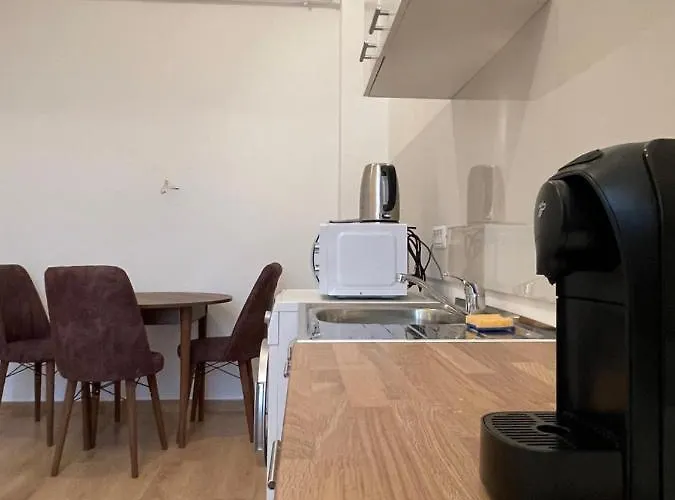 New Nr5 Self Checkin Oldcity Center Paid Parking With Lift * Temešvár